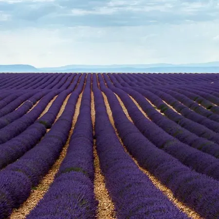 בית נופש Olivier *