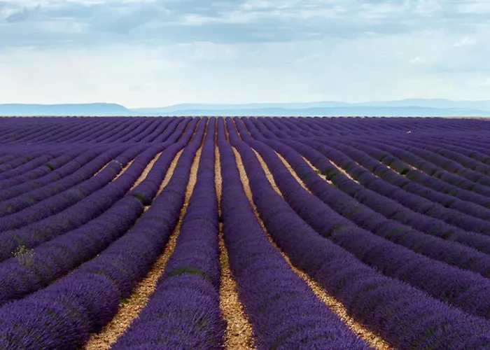 Hébergement de vacances Olivier *